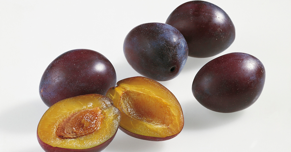 Zwetschgen-Rezepte | Küchengötter Zwetschgen-Rezepte | Küchengötter