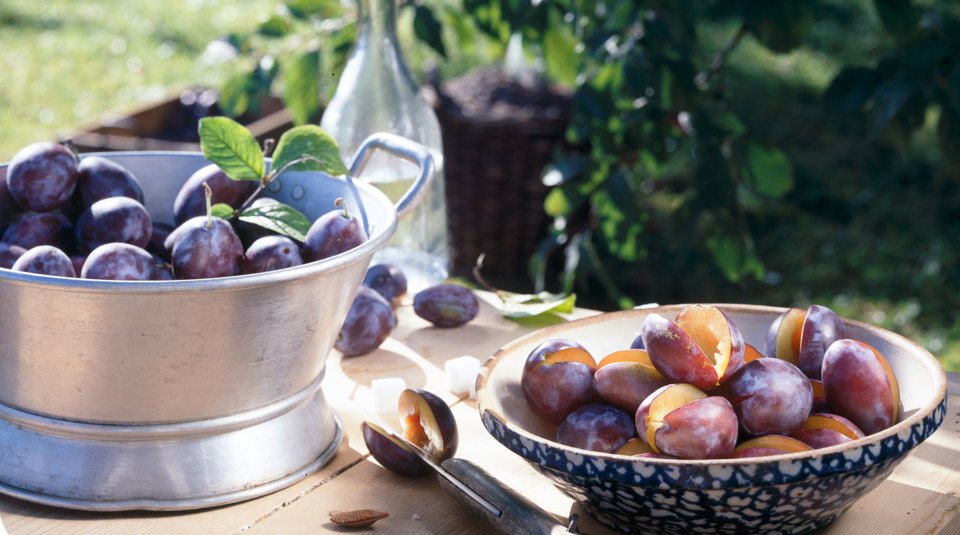 Zwetschgen, Pflaumen, Mirabellen | Küchengötter Zwetschgen, Pflaumen, Mirabellen | Küchengötter