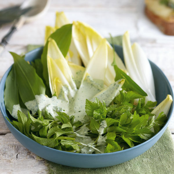 Chicorée-Giersch-Salat Rezept | Küchengötter