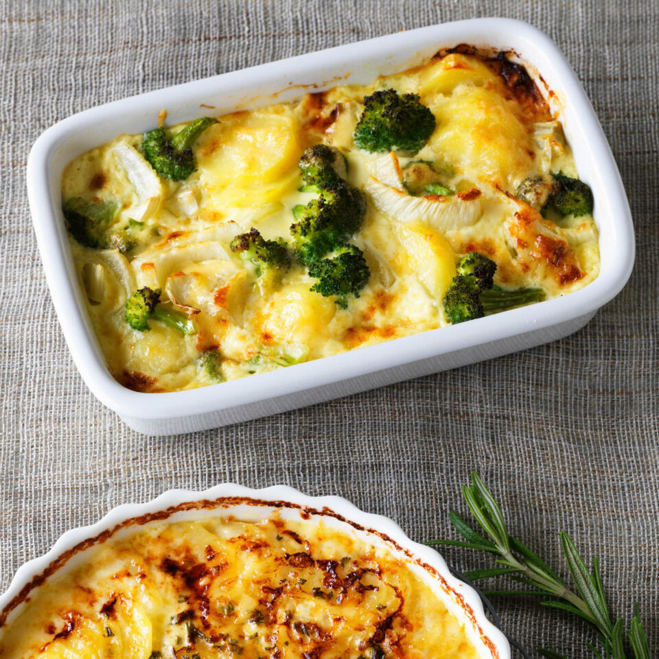 GemüSeauflauf Mit KäSesoßE - Rezepte Suchen GemüSeauflauf Mit KäSesoßE - Rezepte Suchen