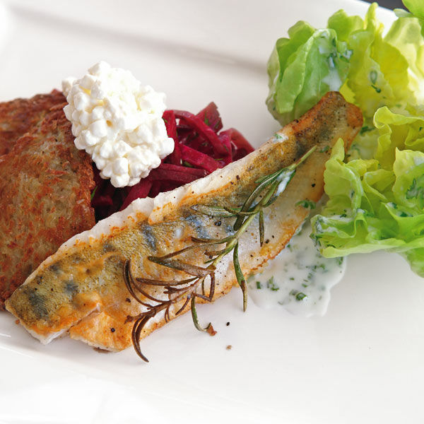 Gebratenes Zanderfilet mit Reibekuchen und Roter Bete Rezept | Küchengötter Gebratenes Zanderfilet mit Reibekuchen und Roter Bete Rezept | Küchengötter