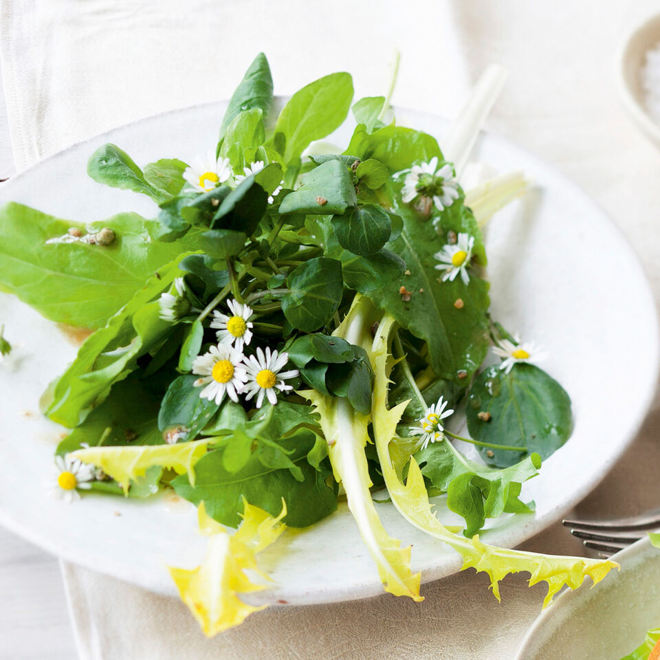 Wildkräutersalat mit Holunderblüten-Dressing Rezept | Küchengötter Wildkräutersalat mit Holunderblüten-Dressing Rezept | Küchengötter