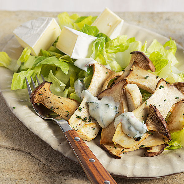 Käse-Pilz-Salat Rezept | Küchengötter