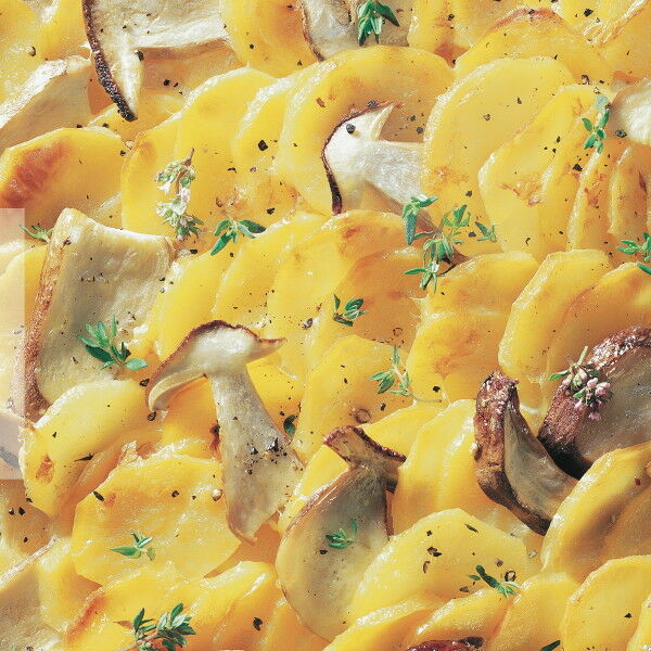 Kartoffel-Steinpilz-Gratin Rezept | Küchengötter