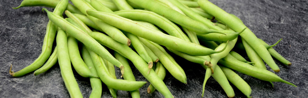 Grüne Bohnen Grüne Bohnen