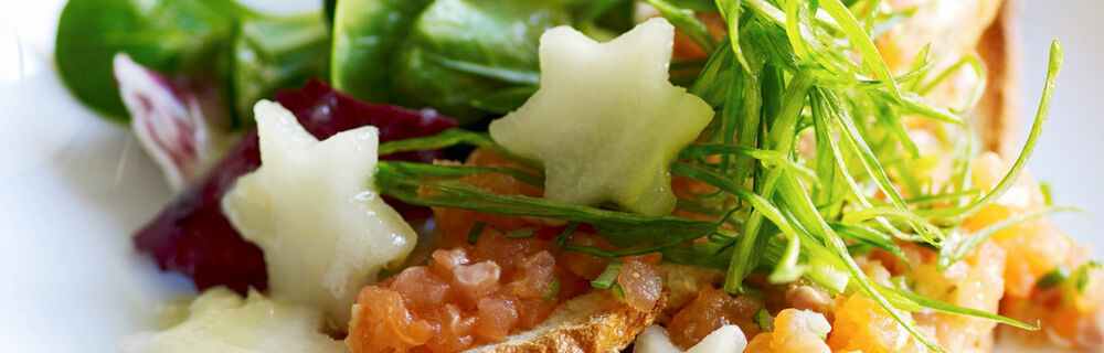 Lachsforellentatar Lachsforellentatar