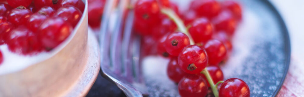 Johannisbeeren Rezepte und Tipps