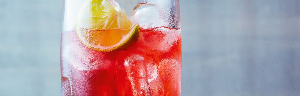 Cape Codder Cape Codder