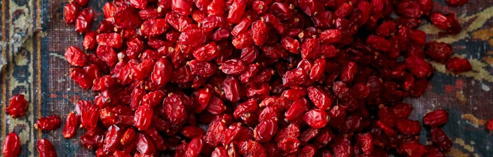 Berberitzen Berberitzen