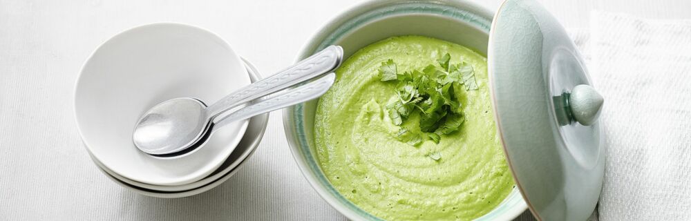 Brokkoli-Kokos-Cremesuppe Brokkoli-Kokos-Cremesuppe