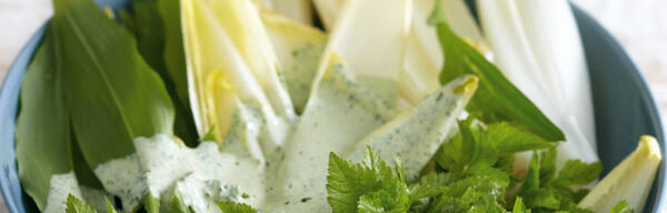 Chicorée-Giersch-Salat