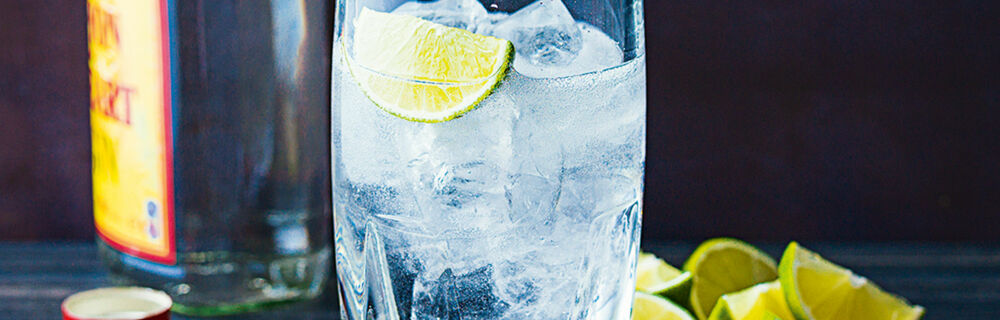 Gin & Tonic Gin & Tonic