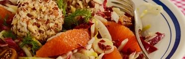 Bittersalat mit Cara Cara Orangen und Ziegenkäse Bittersalat mit Cara Cara Orangen und Ziegenkäse