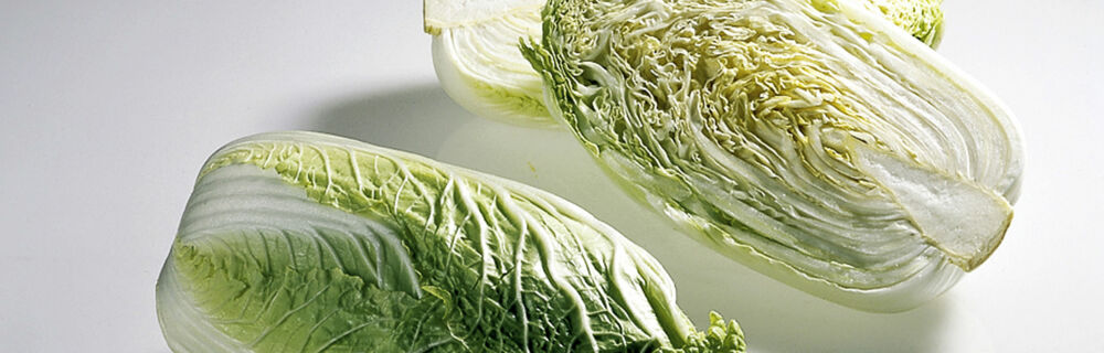 Chinakohl Chinakohl