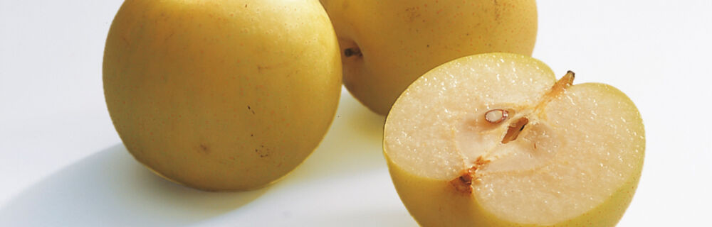 Nashi-Birnen Nashi-Birnen