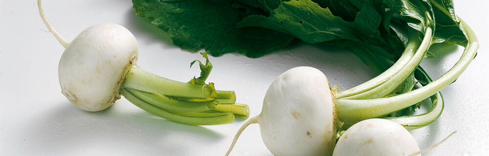 Weiße Rüben Weiße Rüben