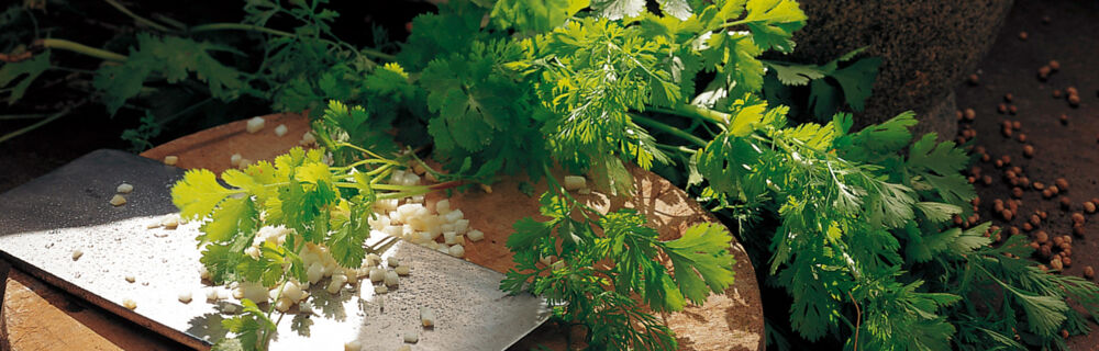 Kräutermischungen Kräutermischungen