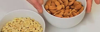 Mandeln richtig verarbeiten Mandeln richtig verarbeiten