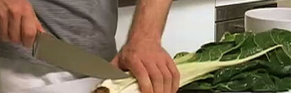 Mangold richtig putzen und verarbeiten Mangold richtig putzen und verarbeiten