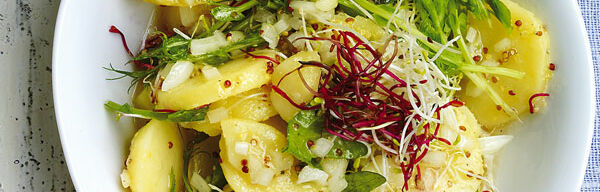 Grüner Kartoffelsalat mit Sprossen Grüner Kartoffelsalat mit Sprossen