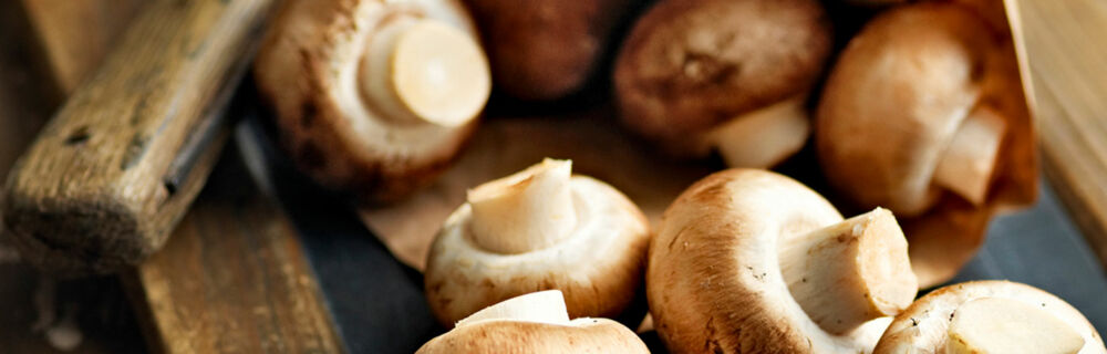 Pilze richtig zubereiten Pilze richtig zubereiten