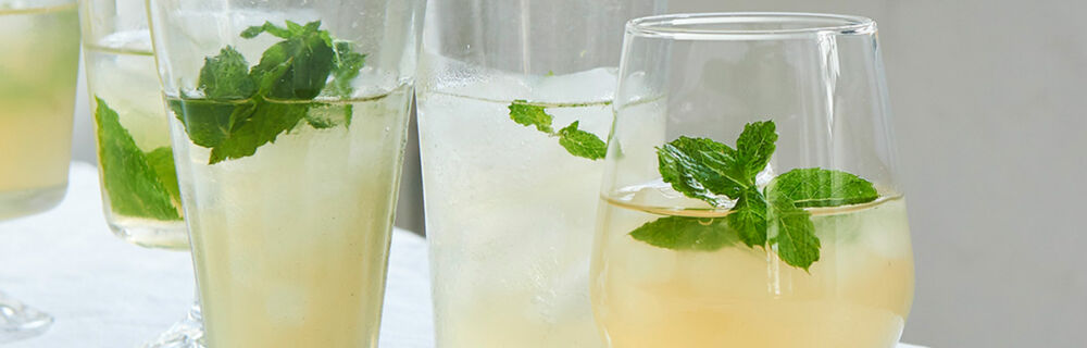 Appetitzügler Pfefferminze Appetitzügler Pfefferminze