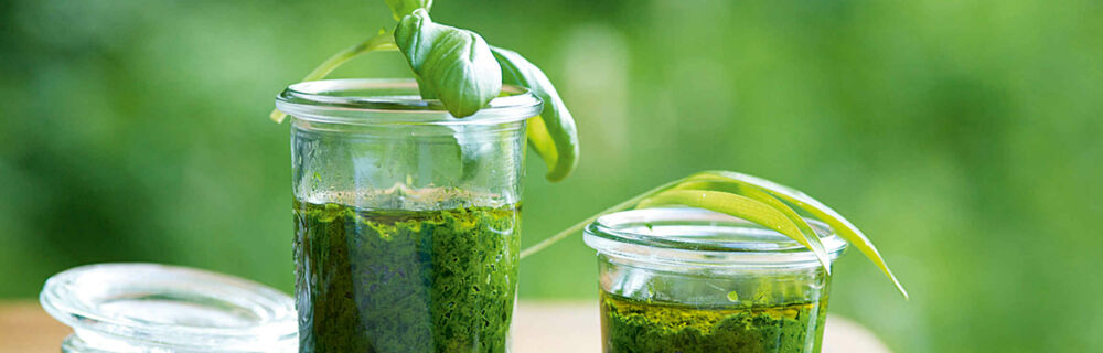 Bärlauch Rezepte Bärlauch Rezepte