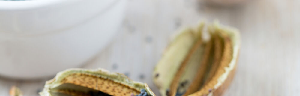 Mohnsamen und getrocknete, aufgebrochene Mohnknospen Mohnsamen