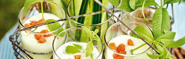 Gurkenlassi mit Aprikosen Gurkenlassi mit Aprikosen