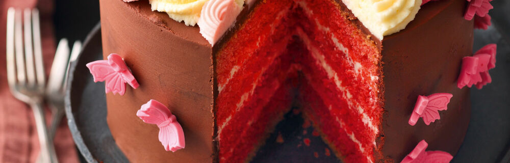 Torten Grundrezepte Motivtorten Werkzeug Torten Grundrezepte Motivtorten Werkzeug