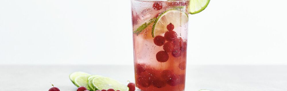 Cranberry-Lime-Spritzer Cranberry-Lime-Spritzer