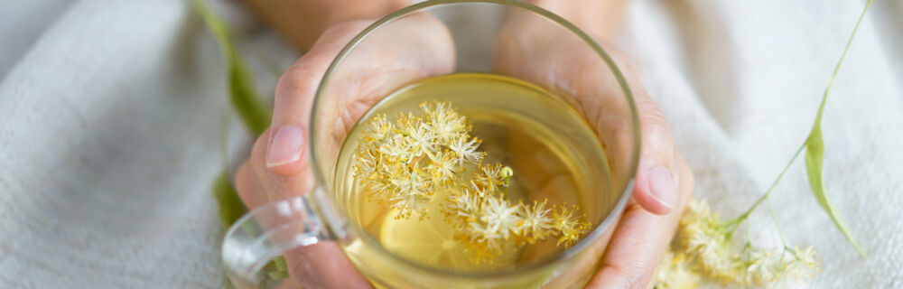 Zyklusernährung Zyklusernährung