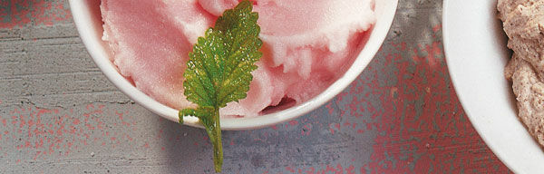 Grapefruitsorbet Grapefruitsorbet