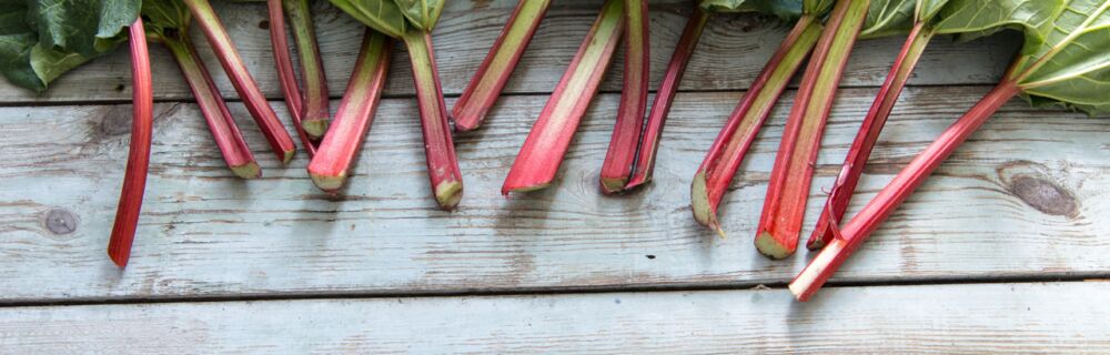 Lieblingsrezepte im April - Rhabarber Lieblingsrezepte im April - Rhabarber