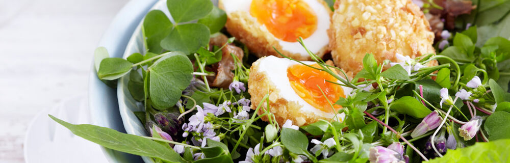 Mandeleier auf Wildkräutersalat Mandeleier auf Wildkräutersalat