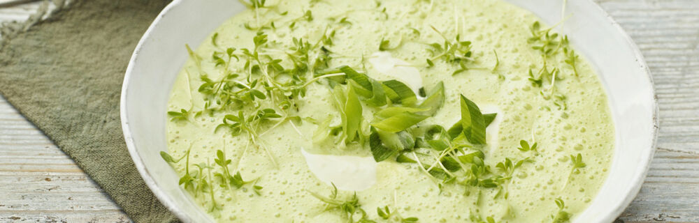 Kohlrabicremesuppe mit Kresse Kohlrabicremesuppe mit Kresse