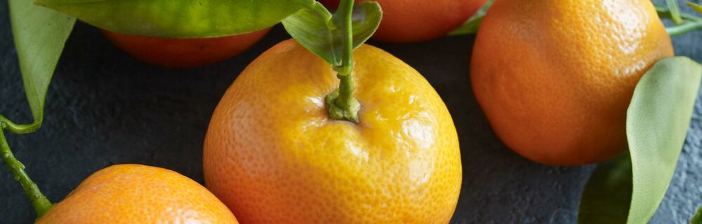 Saisonkalender Obst Gemüse Februar Saisonkalender Obst Gemüse Februar