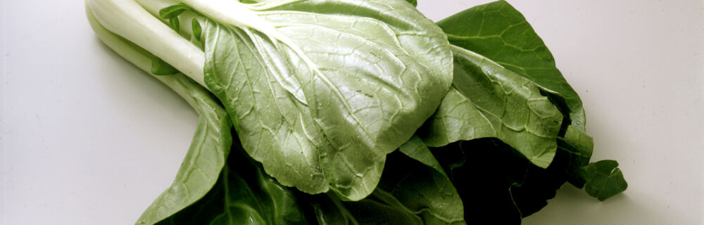Pakchoi Pakchoi