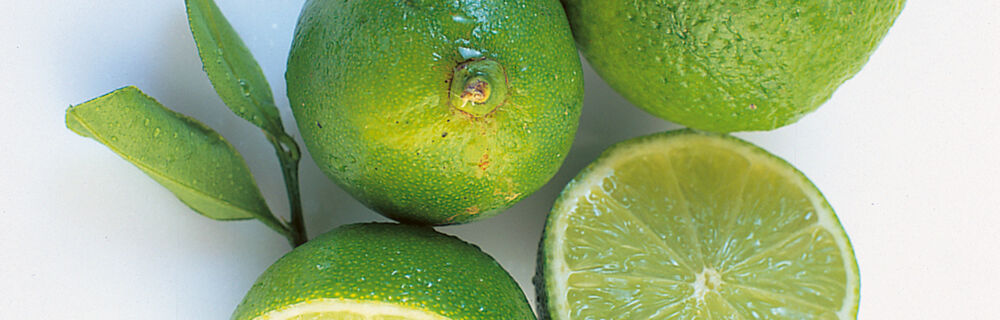 Limetten Limetten