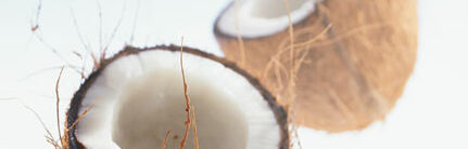 Wer hat die Kokosnuss geklaut? Wer hat die Kokosnuss geklaut?