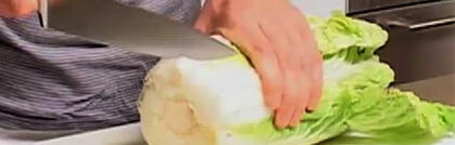 Chinakohl richtig putzen und verarbeiten Chinakohl richtig putzen und verarbeiten