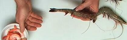 Garnelen richtig vorbereiten Garnelen richtig vorbereiten