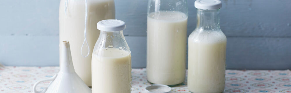 Milch-Alternativen Milch-Alternativen