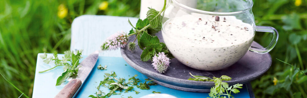 Saucen Dips Dressing Rezepte Saucen Dips Dressing Rezepte