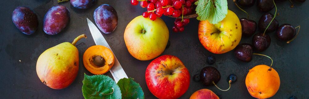 ObstPaleo Diät ObstPaleo Diät