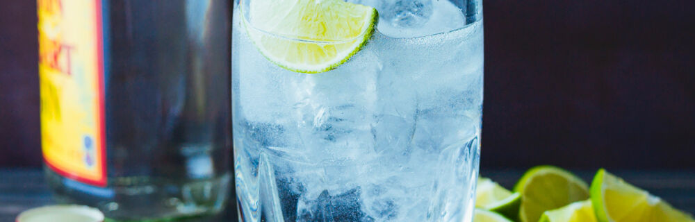 Gin Rezepte Gin Rezepte