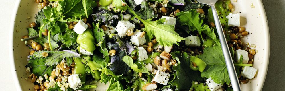 Grünkohlsalat Grünkohlsalat