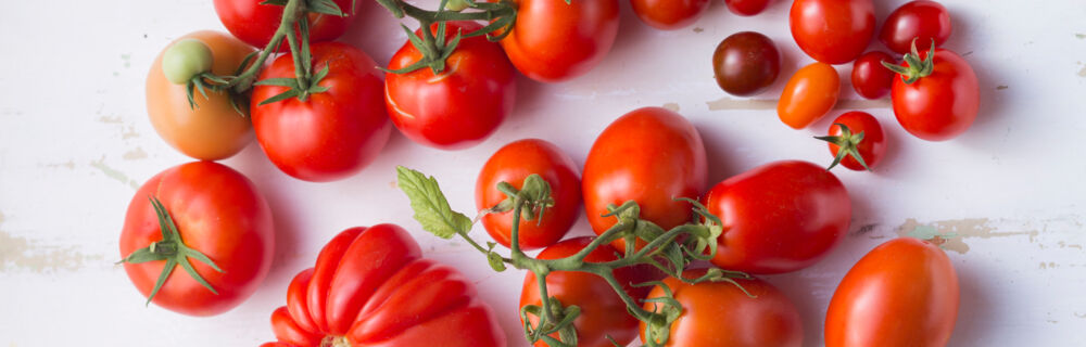 Header Tomaten Header Tomaten