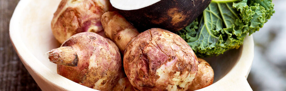 Topinambur Topinambur