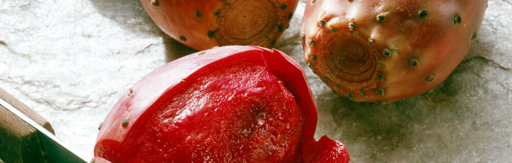 Kaktusfeigen Kaktusfeigen